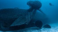 bikiniatoll-buceo3-masterliveaboards-opt