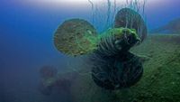 bikiniatoll-buceo5-masterliveaboards-opt