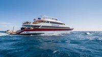 Peciosredsea-barco2-opt