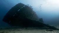 peciosredsea-intro4-carlosmartinez-opt
