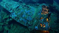 TrukBuceo opt (3)