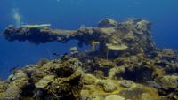 TrukBuceo opt (5)