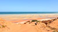 mozambique6-opt
