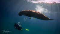 CruceroFilipinasBuceo4-opt