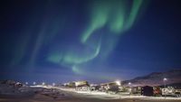 ArticoIntro2-opt